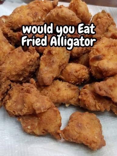 🐊 Fried Alligator – Louisiana’s Unique Delicacy 556830062_1364588961759854_3777459799567084613_n