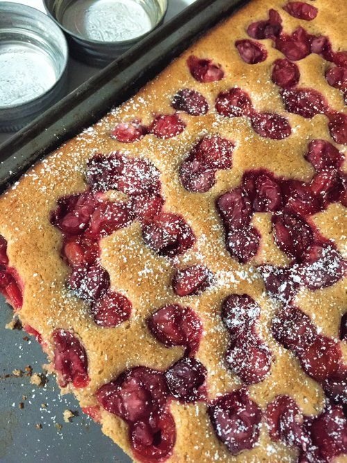 Hungarian Sour Cherry Cake 🇭🇺 cde9e14767f4305ecbd22ca3746651a8