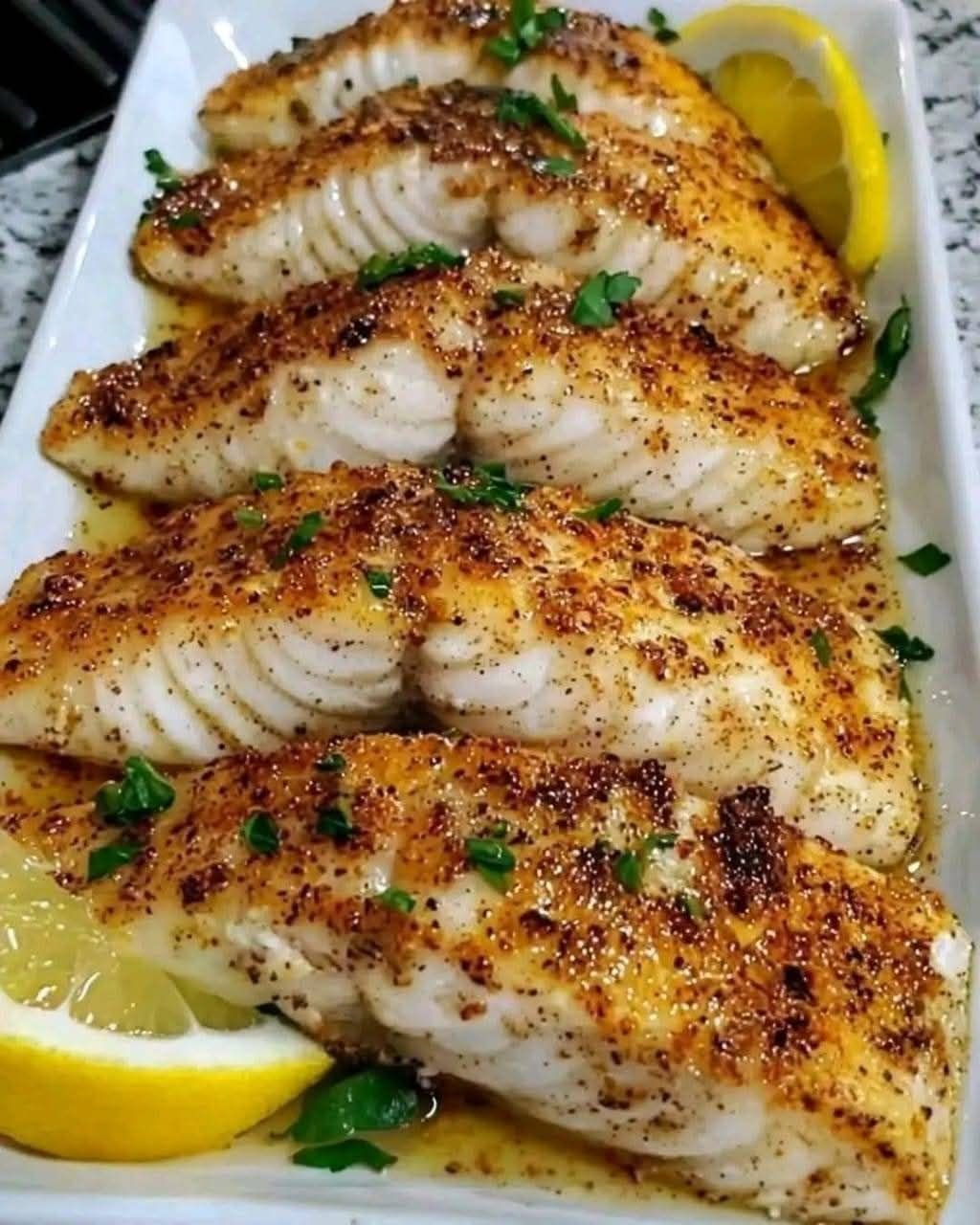 For the Fish: 555656286_2061332051341243_6159227681788619222_n