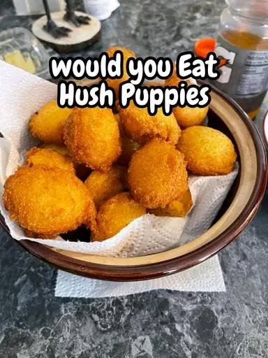 Hush puppies are golden 556825046_770812045715747_6442638853246384285_n