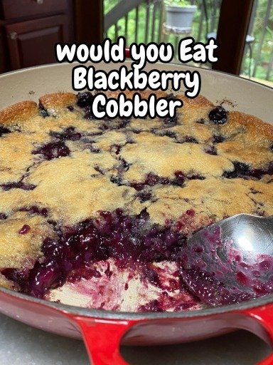 Blackberry cobbler 561310222_730202093365894_7006236966824584340_n