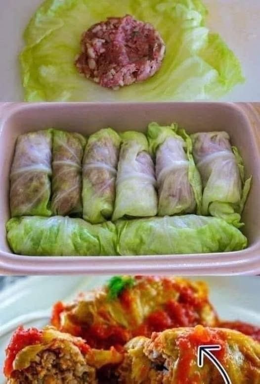 Eat Stuffed Cabbages Rolls 588887493_1423818729166735_5059249779858833902_n