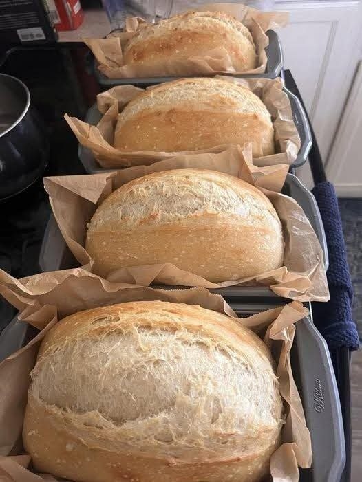 NO KNEAD SANDWICH BREAD IMG-20251208-WA0002